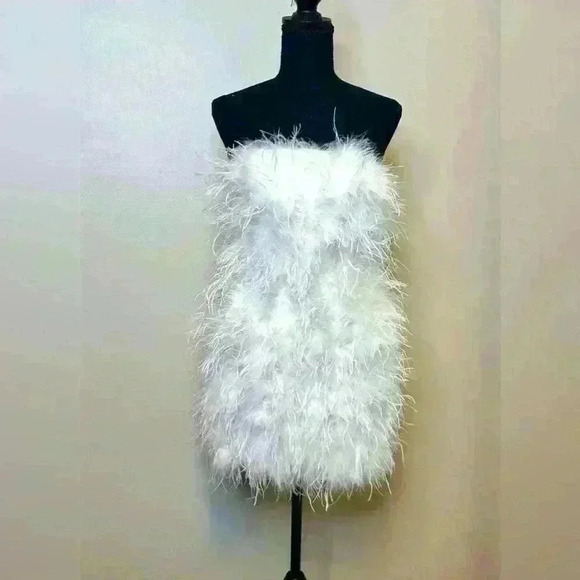 Dresses & Skirts - NWOT Ostrich feather dress